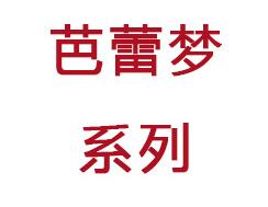 峰力倫巴夢(mèng)系列耳內(nèi)式助聽器VirtoQ系列